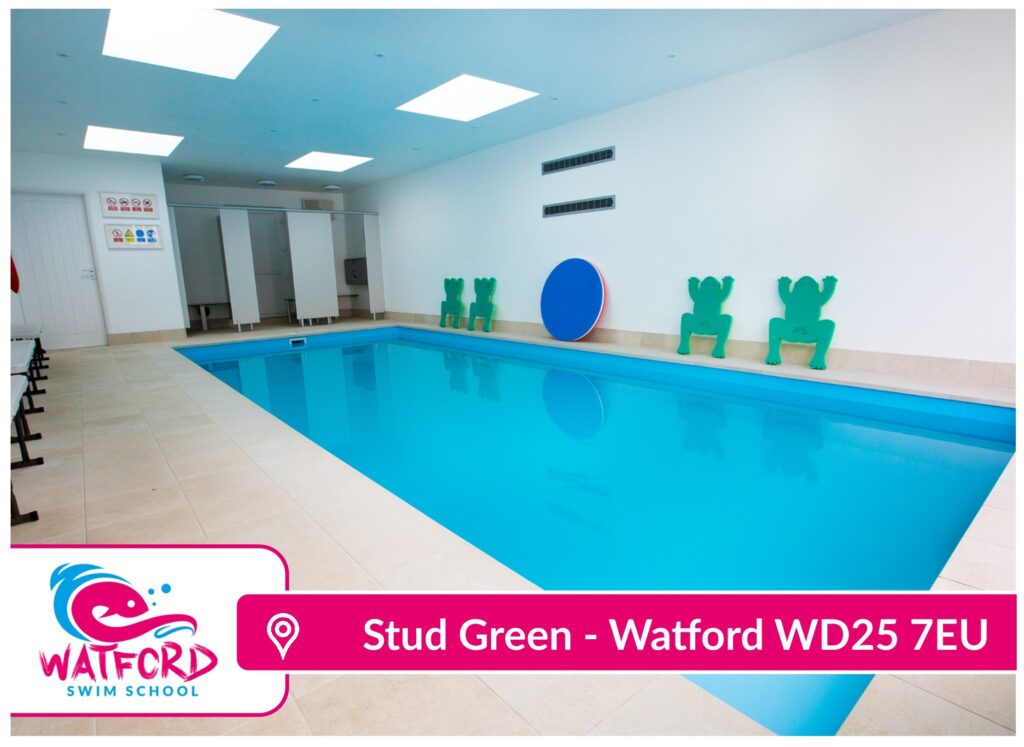 venues-wildfish-swim-school